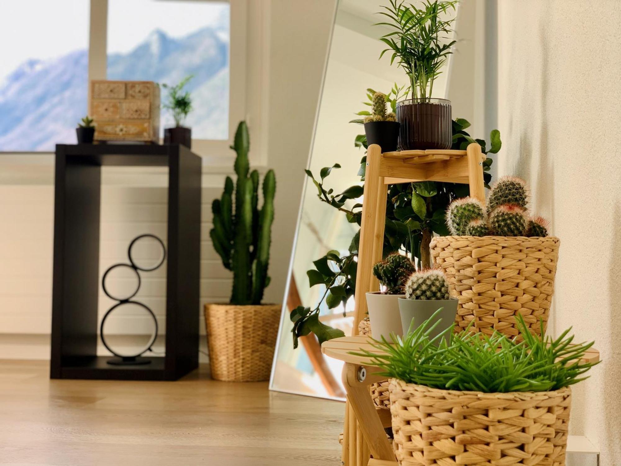 Eva O Wellnessoasis O Montainview O Pizzaoven O Apartment Ingenbohl Екстериор снимка