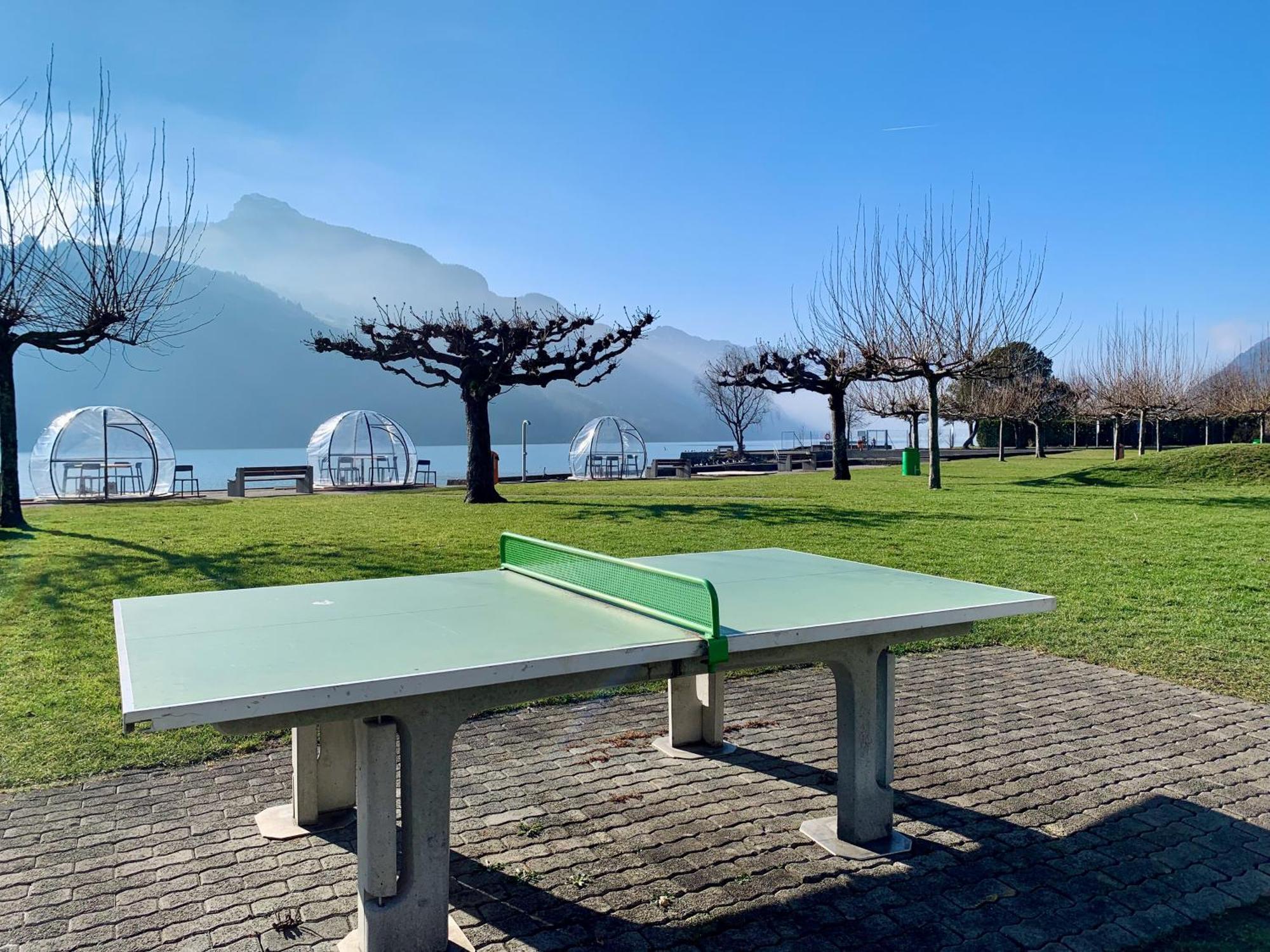 Eva O Wellnessoasis O Montainview O Pizzaoven O Apartment Ingenbohl Екстериор снимка