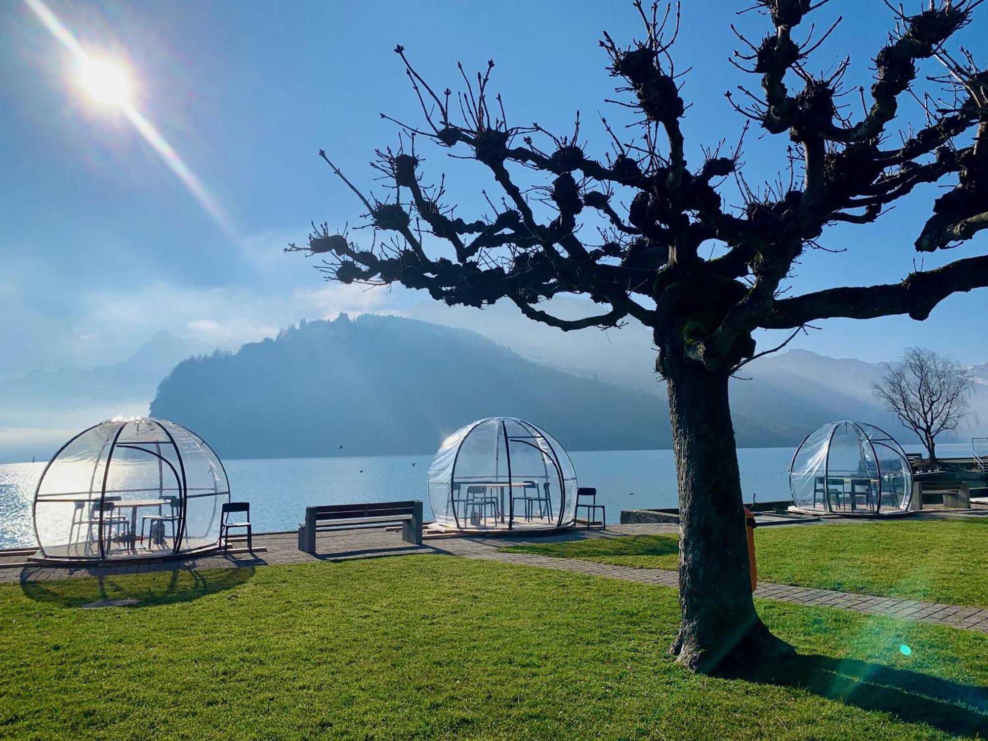 Eva O Wellnessoasis O Montainview O Pizzaoven O Apartment Ingenbohl Екстериор снимка